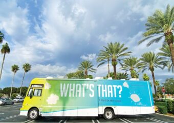 RV parked among the palm trees in balmy Miami