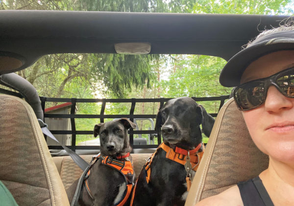 Picture of a caucasian woman wearing sunglasses and driving a car. Staci Pierson The Skin Cancer Foundation