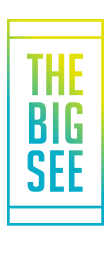 The Big See